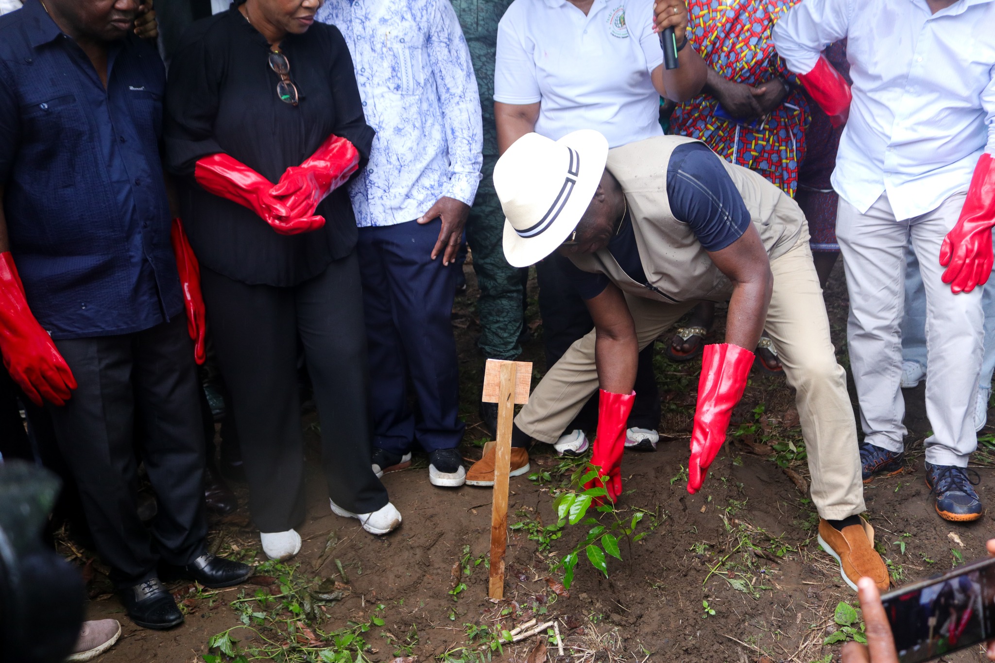 CÉRÉMONIE DE PLANTING D'ARBRES ET REMISE DE LA FORÊT DIPLOMATIQUE DU SYSTÈME DES NATIONS UNIES PAR L'ONG IDV ,Ivoire Diplomatie Verte . 